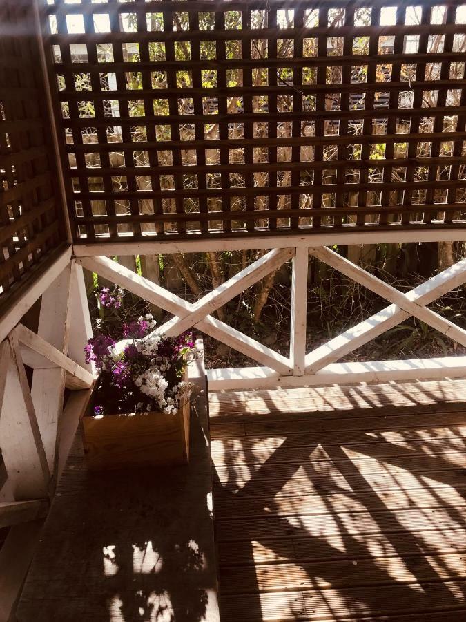 Prodigal Daughter Gourmet Lodge Martinborough Exterior foto